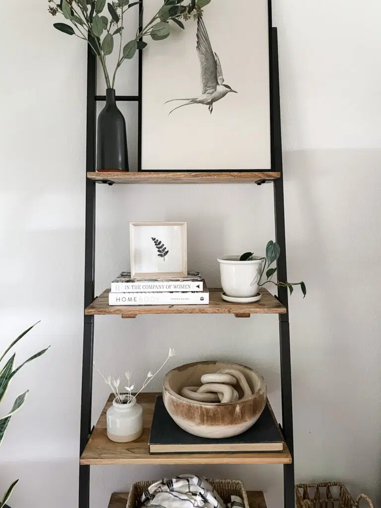 Simple Decor Shelves with Simple items